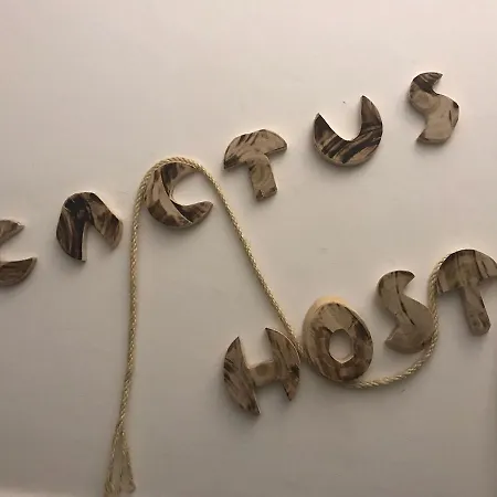 Cactus Host-3